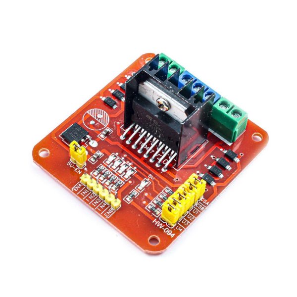 L298N DC Motor Driver Type 1